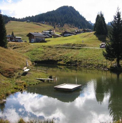 Dreimaederlhaus Apartment Sankt Gallenkirch Bagian luar foto